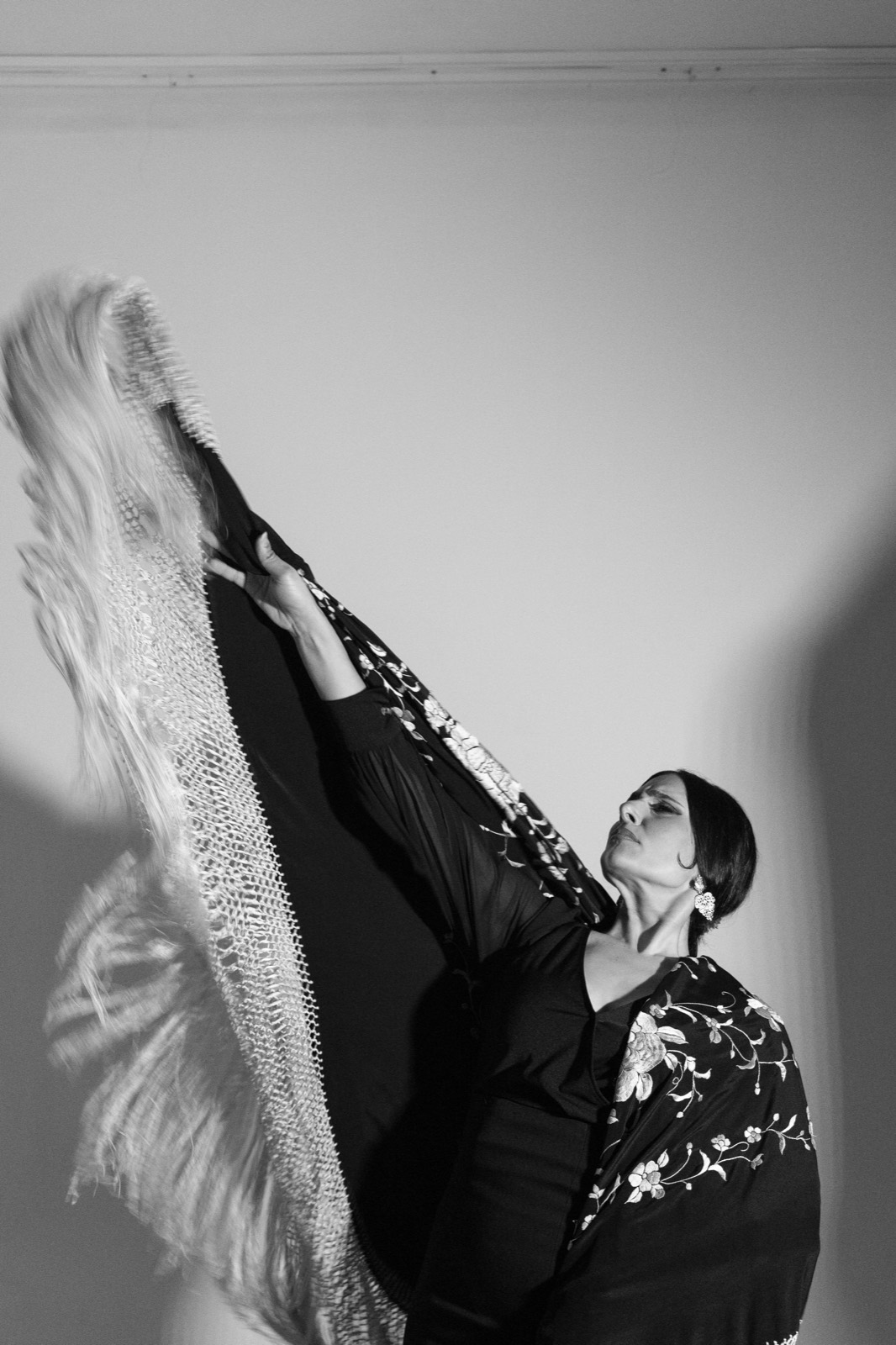 Bailaora de flamenco en escena