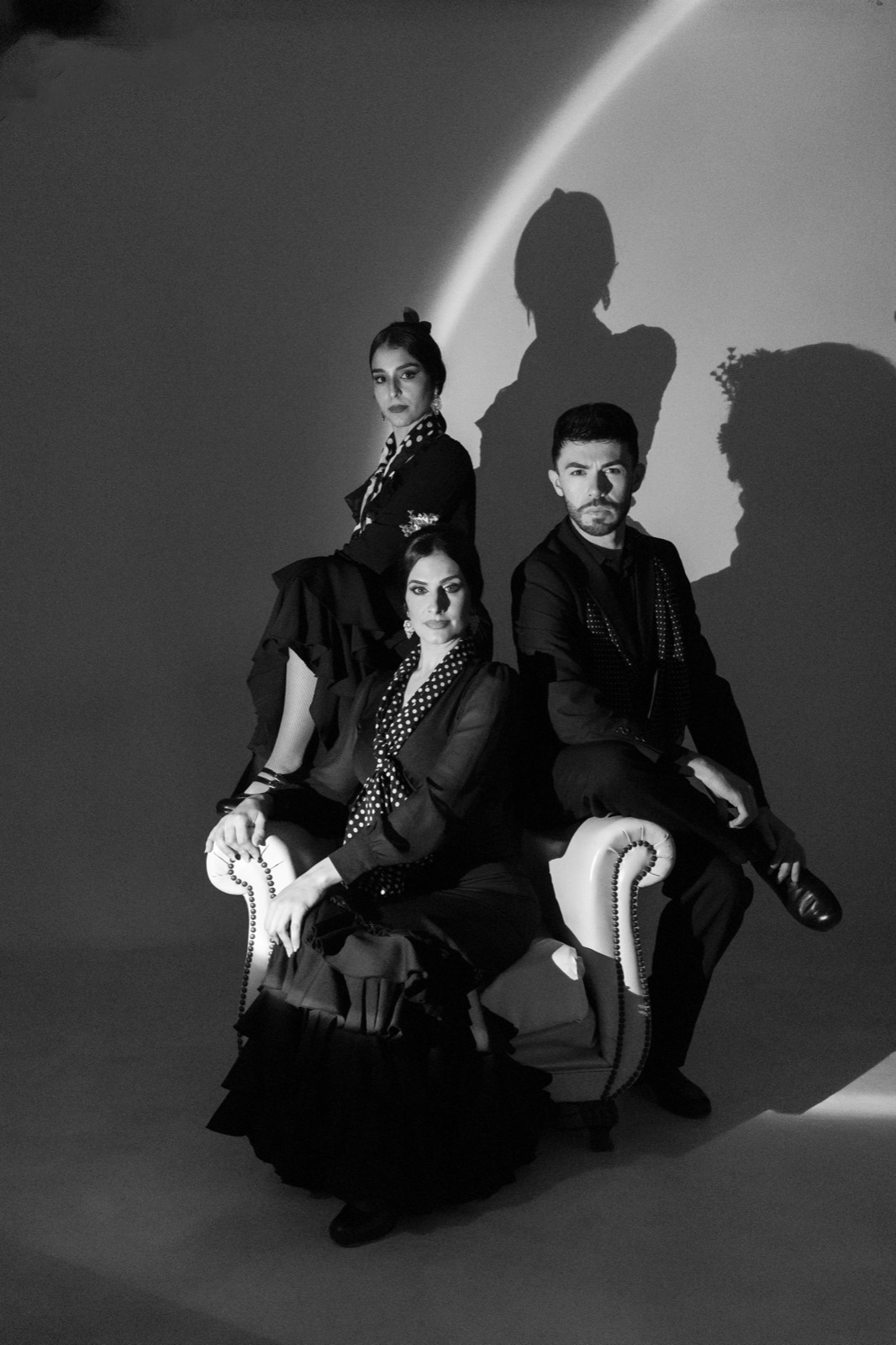 Flamenco en blanco y negro