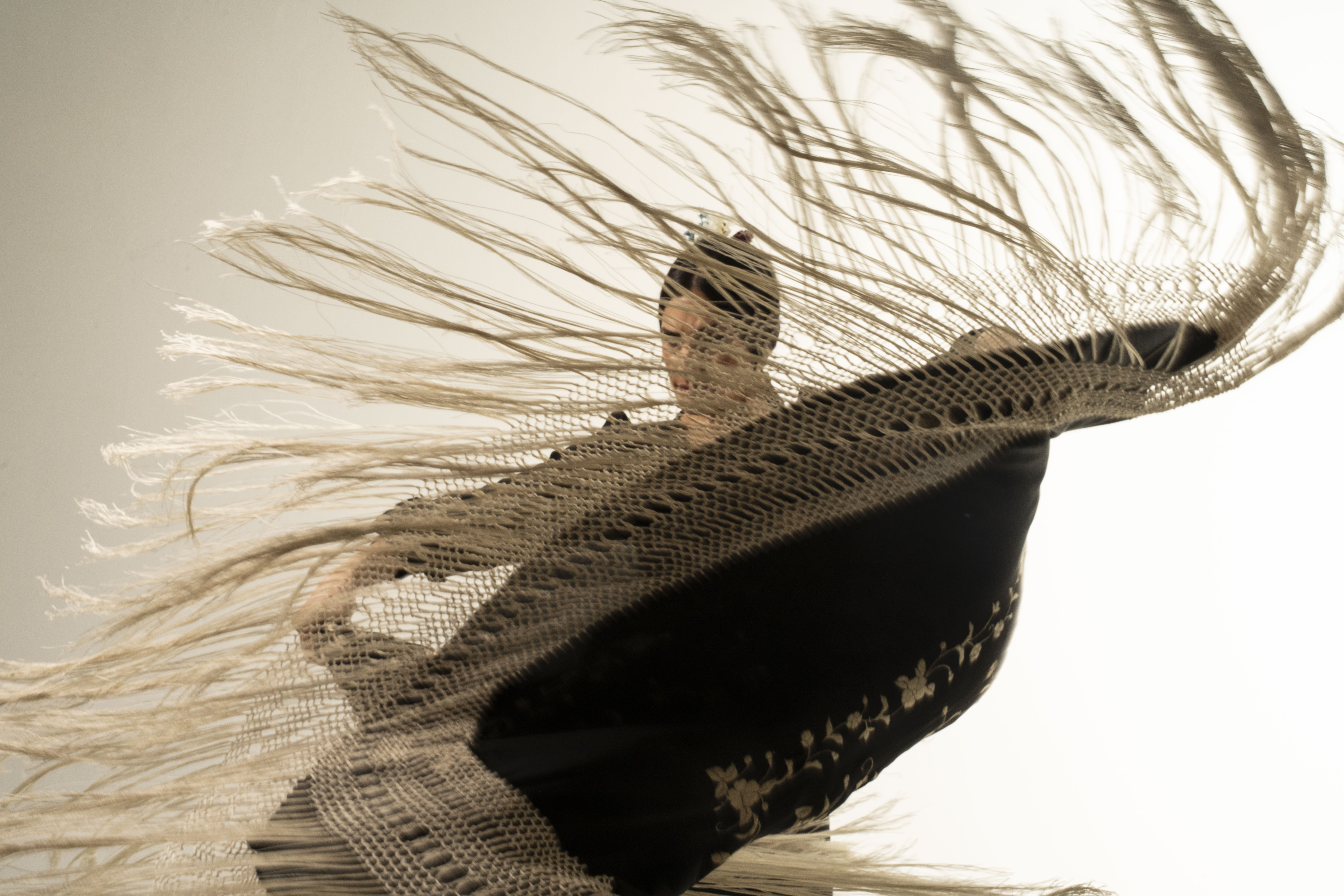 Presentación en Escenario